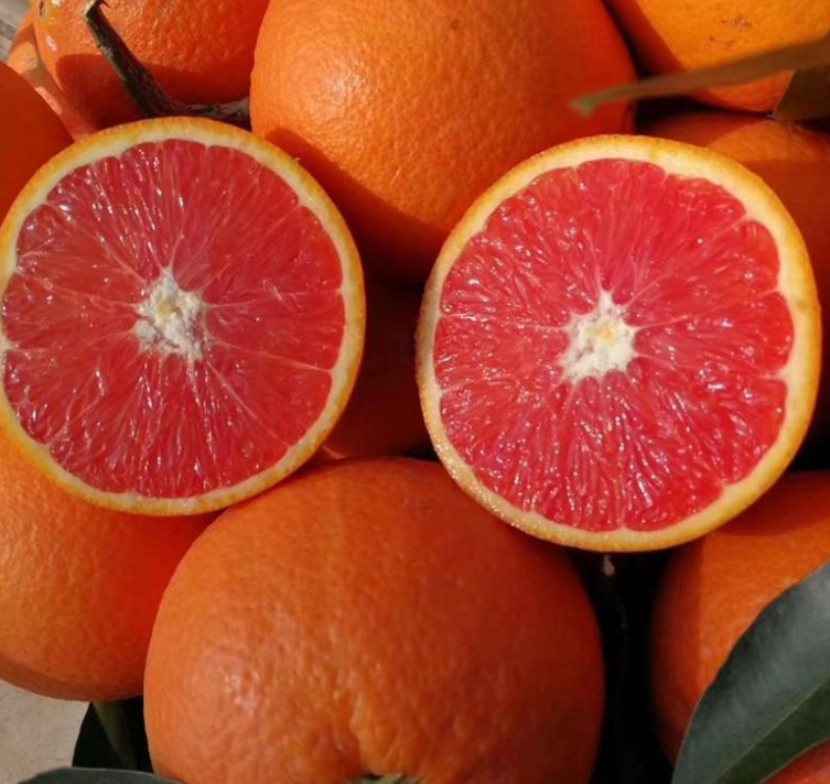 橙子的品种有哪些？你知道吗？（脐橙什么品种果形最大）