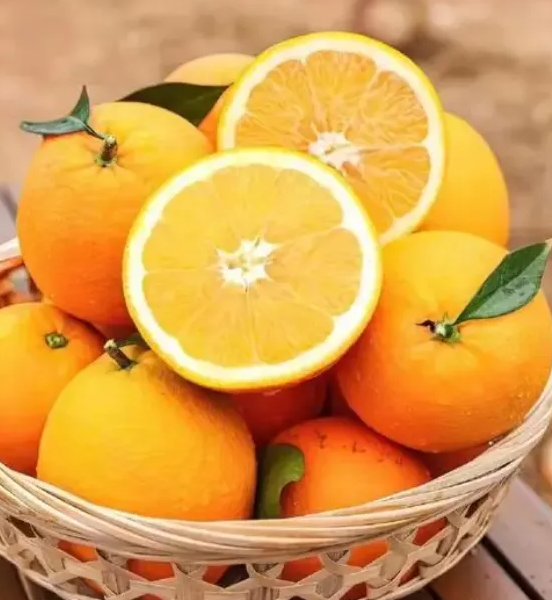 怎么分辨脐橙有没有打甜蜜素（脐橙的生长过程）